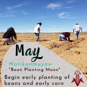 Several Hopi men are planting in the fields following ancestral dry farming techniques.